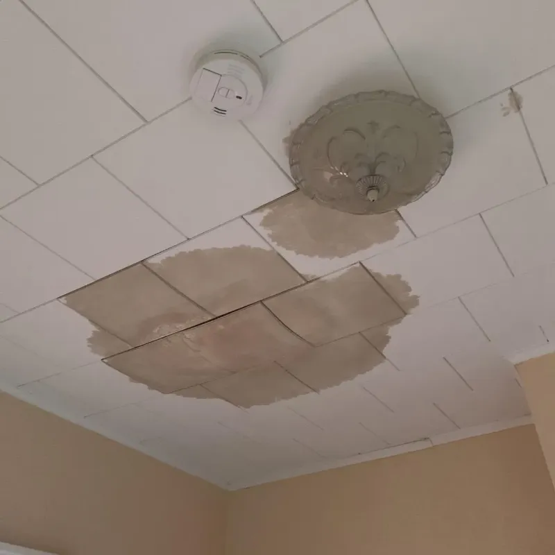 Ceiling Water Damage Repair in Westfield, IN