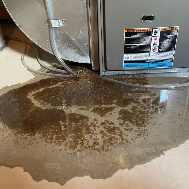 Pipe Burst and Leak Restoration in Westfield, IN